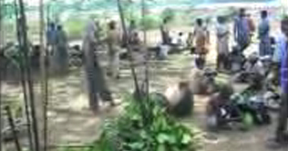 Annual hunting festival in tribes started in India